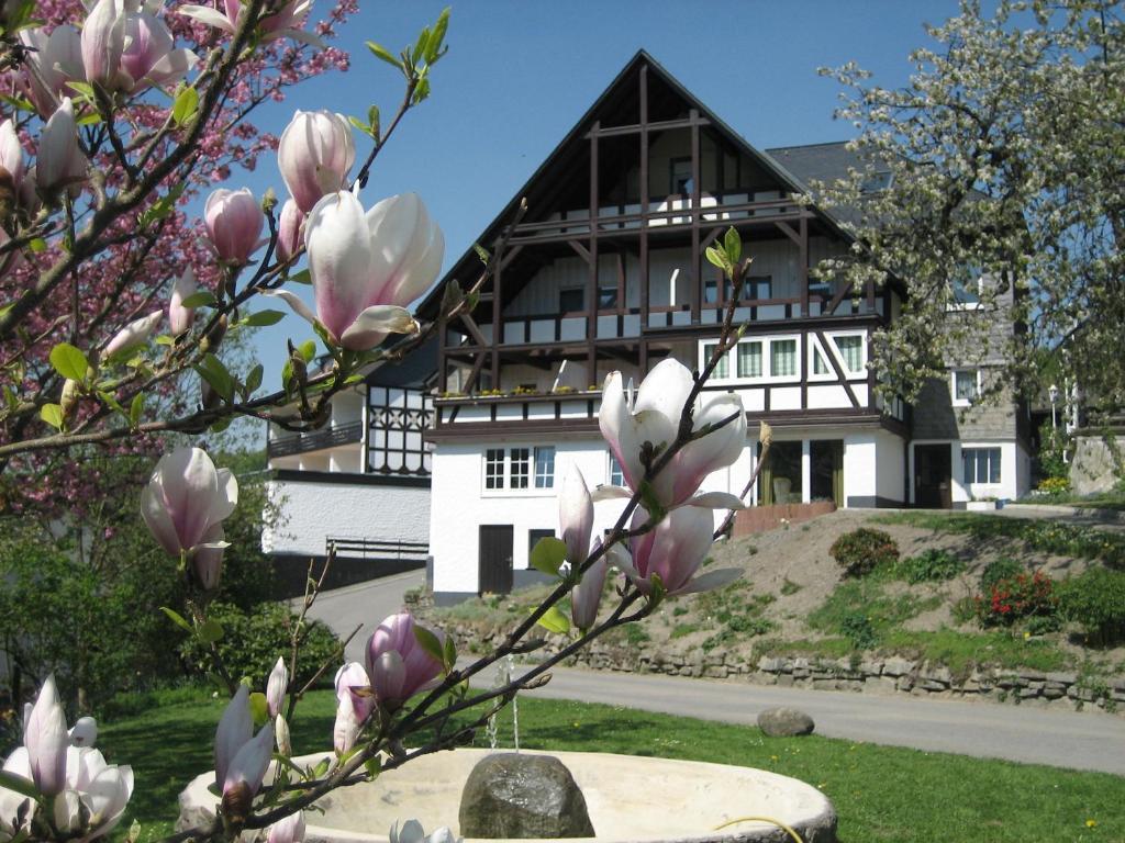 Ferienwohnungen Otto Schmallenberg Exteriör bild